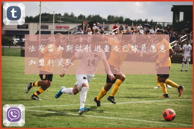 法布雷加斯欲引进查洛巴球员愿意加盟科莫队