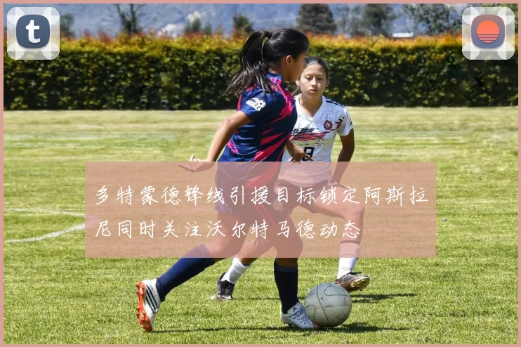 多特蒙德锋线引援目标锁定阿斯拉尼同时关注沃尔特马德动态
